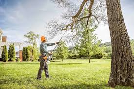 Tree and Shrub Care in Fairless Hills, PA